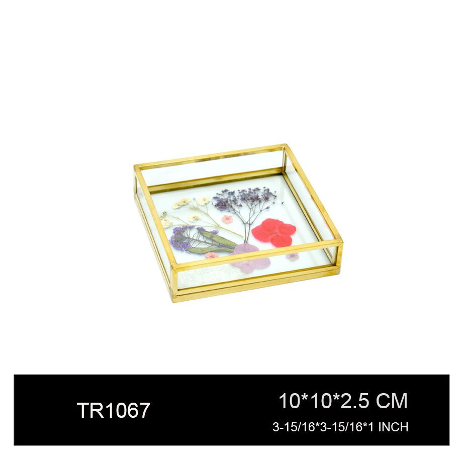 TR1067